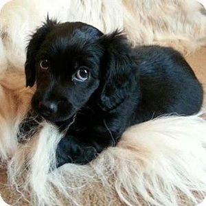 Meet your Posher, Kaitlyn